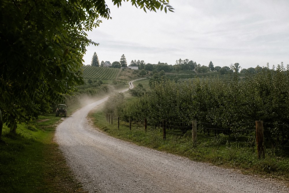 Country road on a Traverse City peninsula with vineyards in the distance