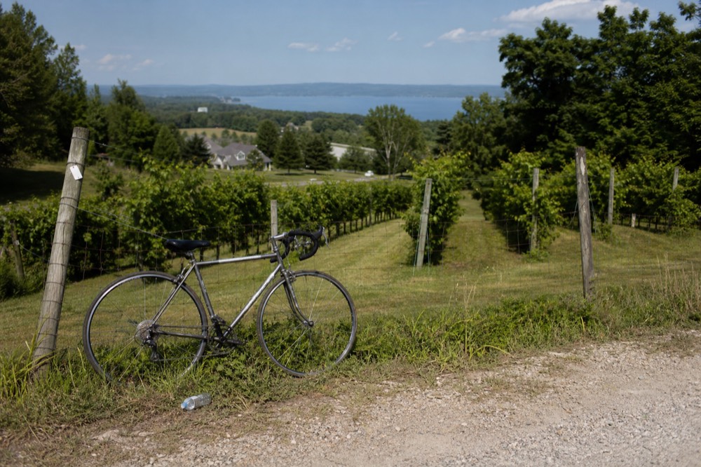 A bicycle leaning against a fence beside a vineyard
