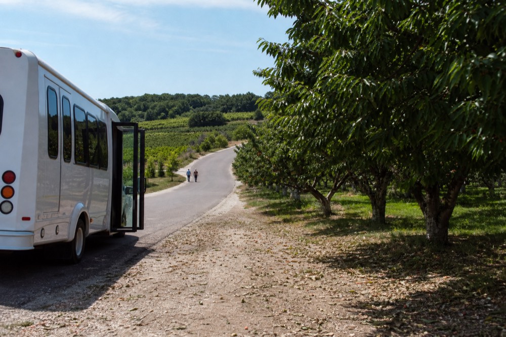 A country road curving between vineyards and orchards on a narrow peninsula