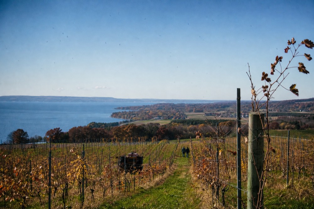 Fall color over vineyards and Grand Traverse Bay on Old Mission Peninsula
