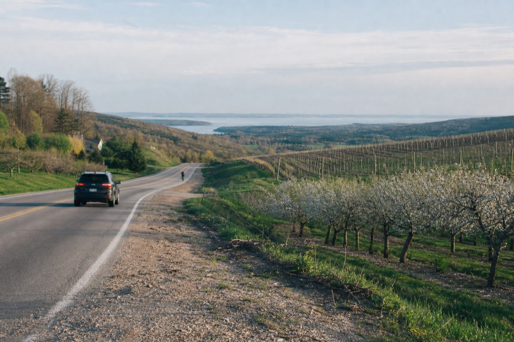 Two-lane road curving between vineyards and orchards on a narrow peninsula