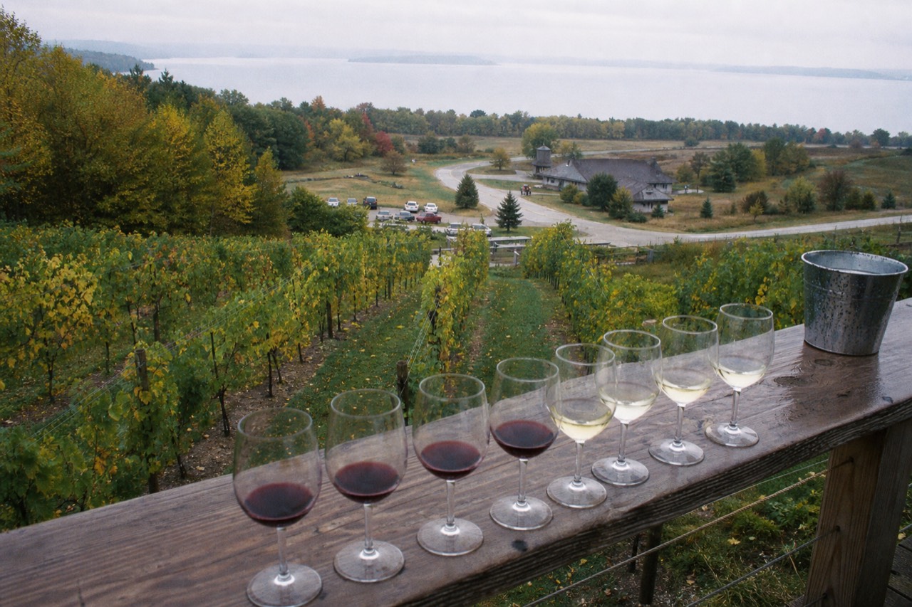 A tasting flight of white and red wines on a winery bar counter overlooking vineyards