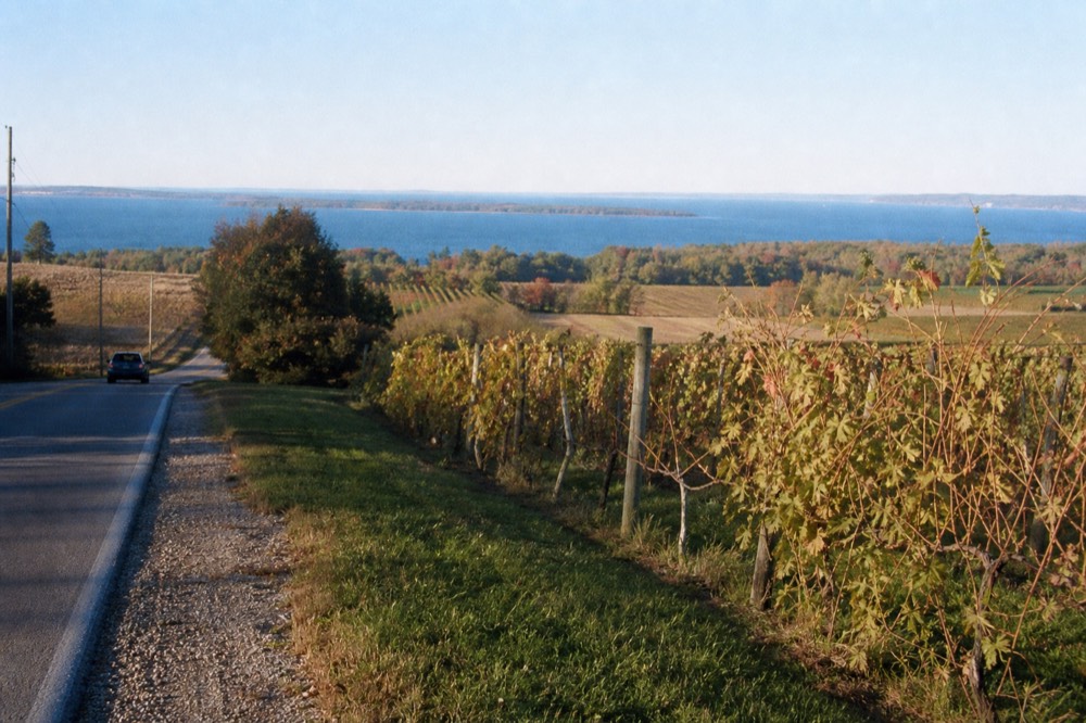 Rows of grapevines along a narrow peninsula road beside Grand Traverse Bay